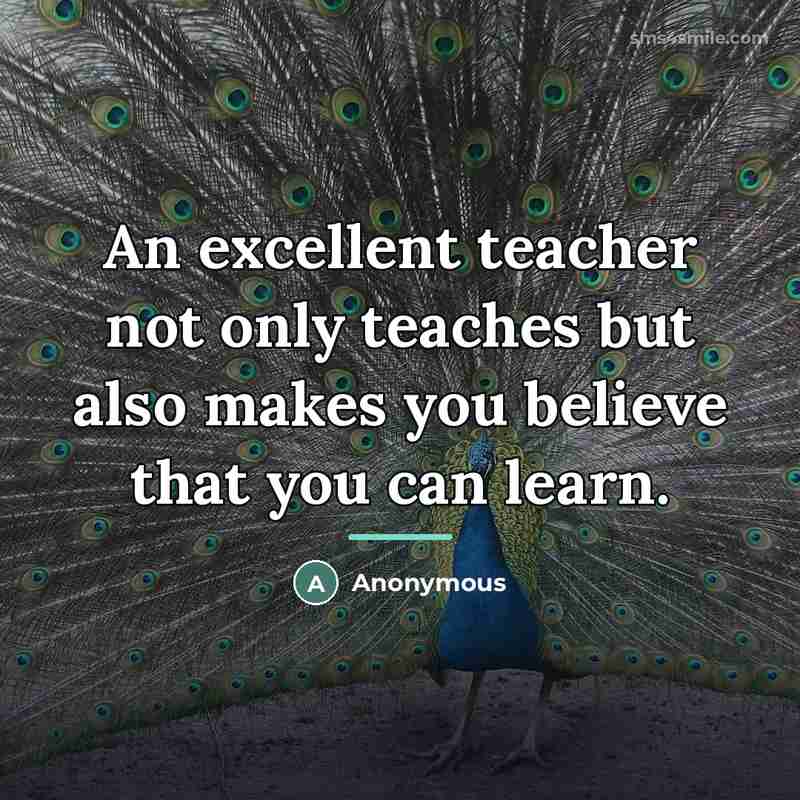 “An excellent teacher not only teaches but also makes you…” quote by Anonymous