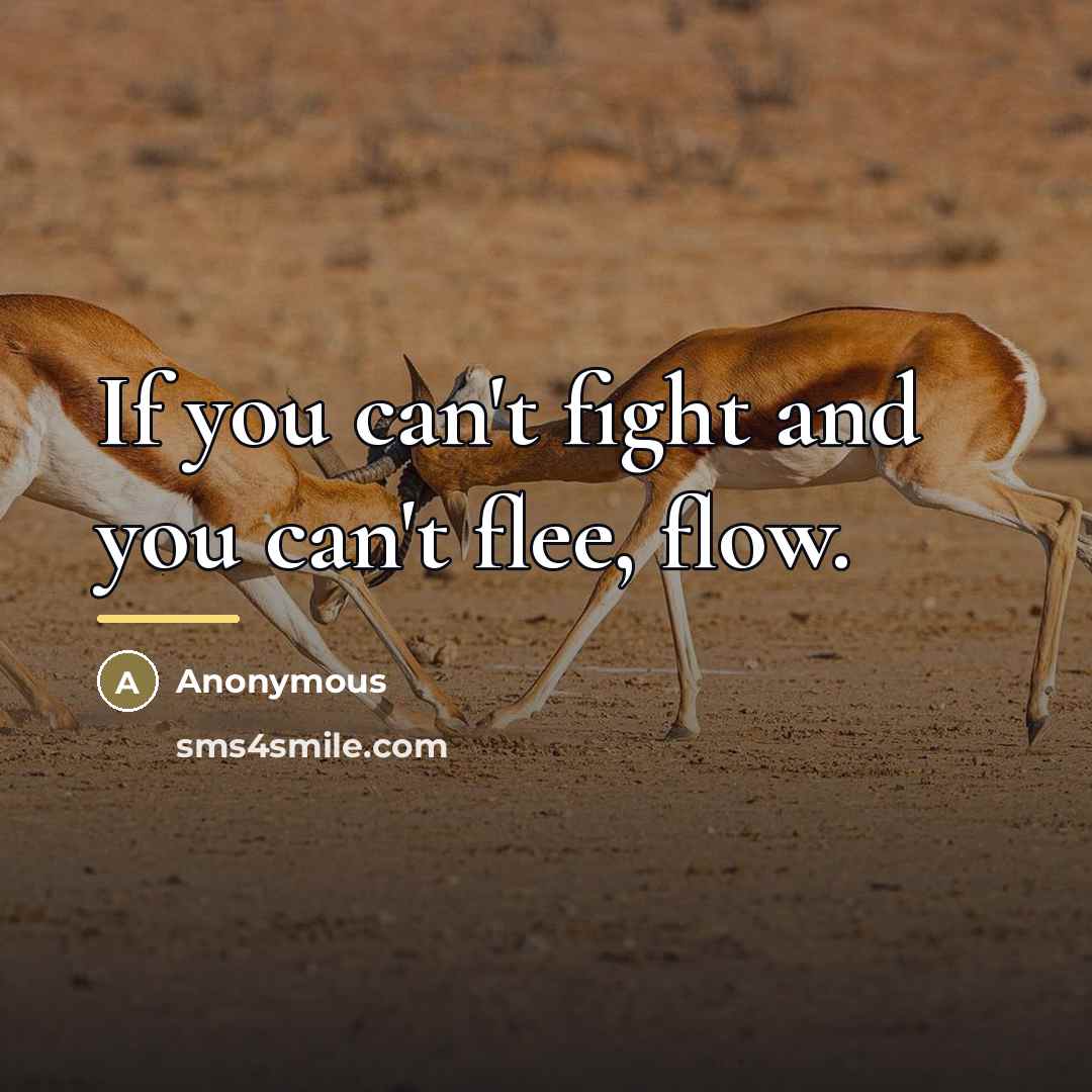 “If you can't fight and you can't flee, flow.…” quote by Robert Elias M.D