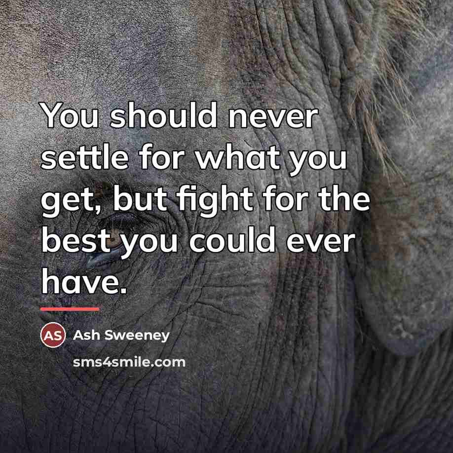 “You should never settle for what you get, but fight…” quote by Ash Sweeney
