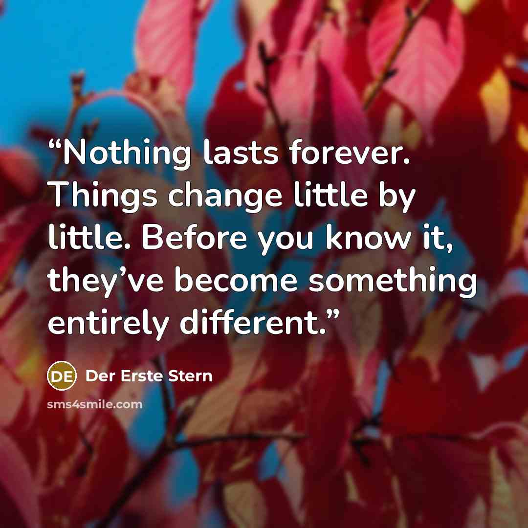 “Nothing lasts forever. Things change little by little. Before you know it, they’ve become something entirely different.” quote by Der Erste Stern