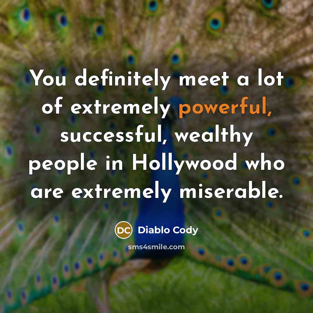 “You definitely meet a lot of extremely powerful, successful, wealthy…” quote by Diablo Cody