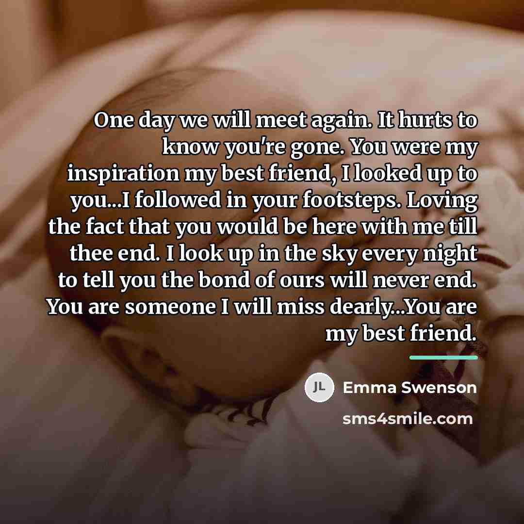 “One day we will meet again. It hurts to know…” quote by Emma Swenson