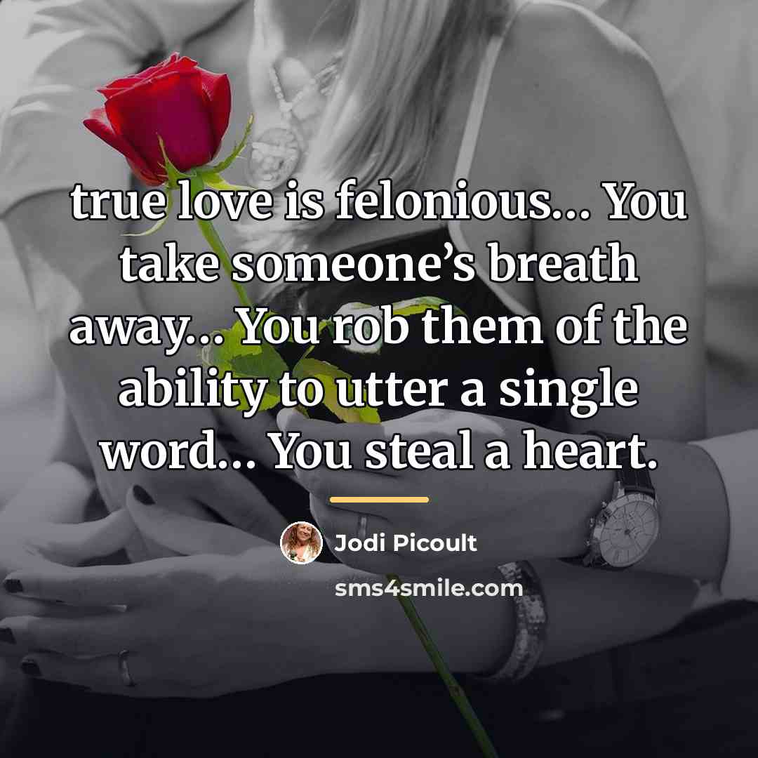 “true love is felonious… You take someone’s breath away… You…” quote by Jodi Picoult