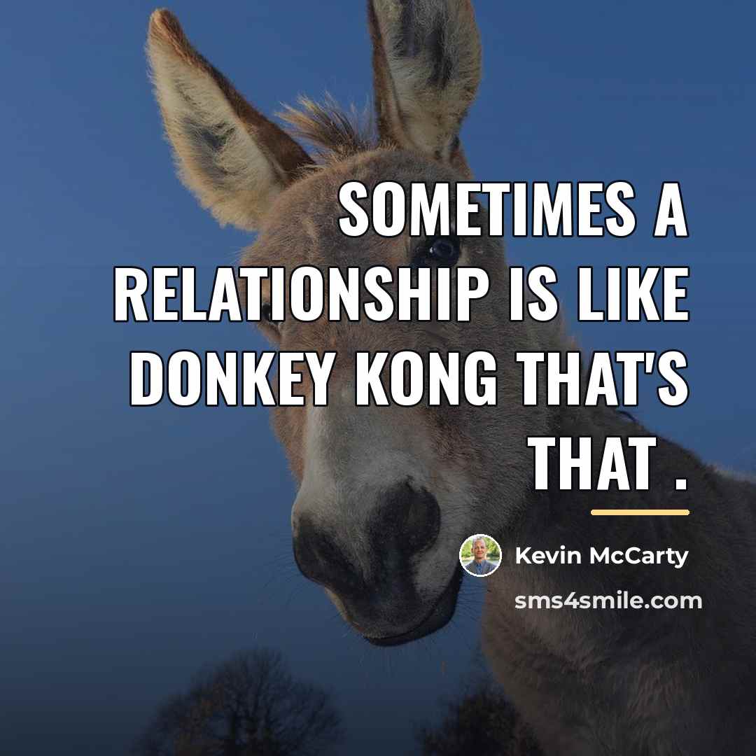 “Sometimes a relationship is like Donkey Kong that's that .…” quote by Kevin McCarty