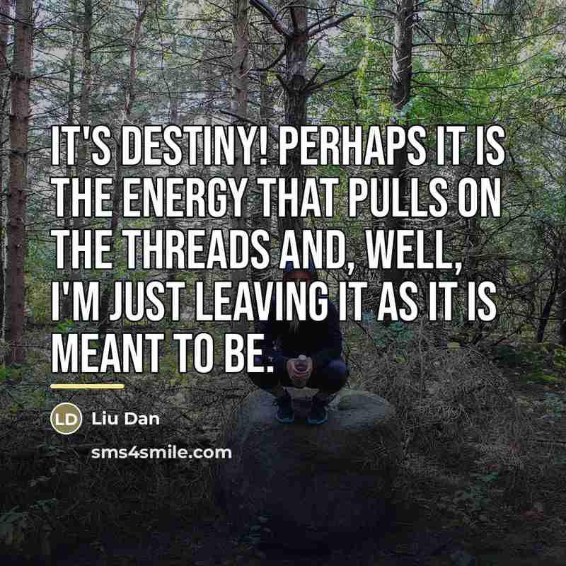 “It's destiny! Perhaps it is the energy that pulls on…” quote by Liu Dan
