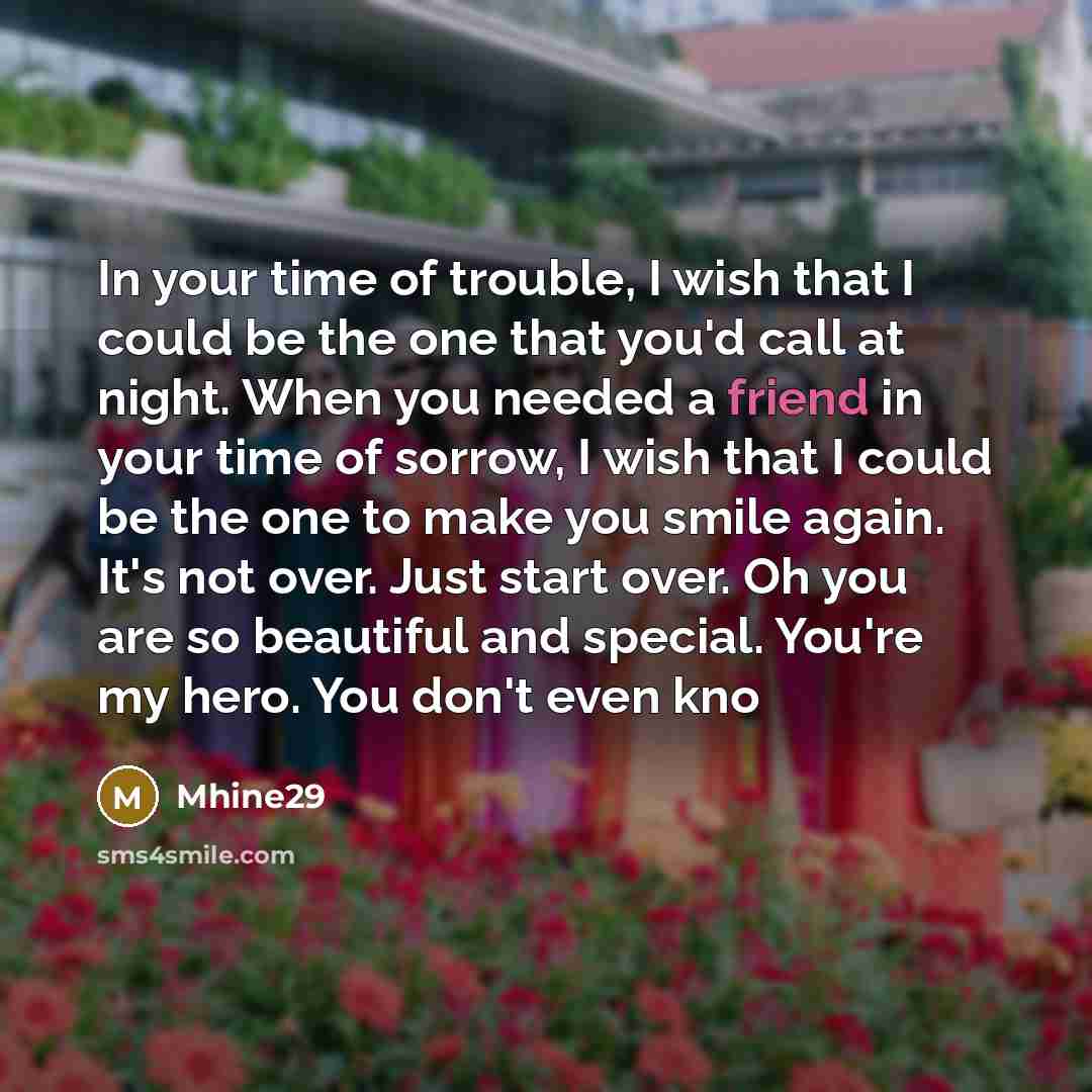 “In your time of trouble, I wish that I could…” quote by Mhine29