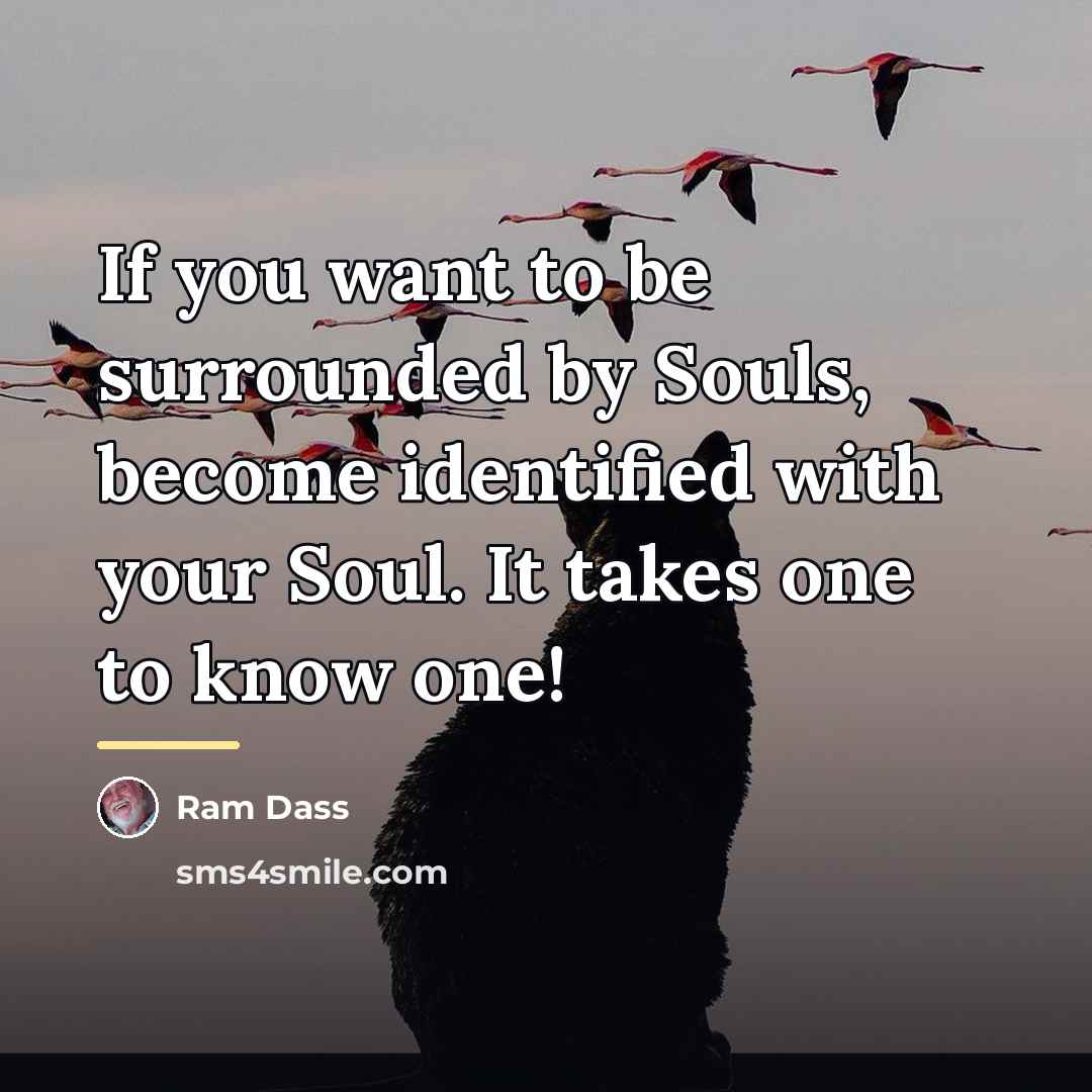 “If you want to be surrounded by Souls, become identified…” quote by Ram Dass