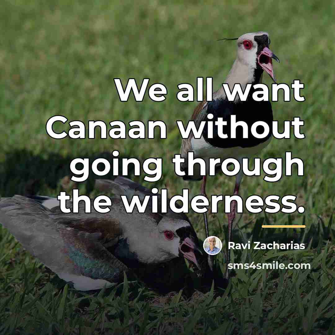 “We all want Canaan without going through the wilderness.…” quote by Ravi Zacharias