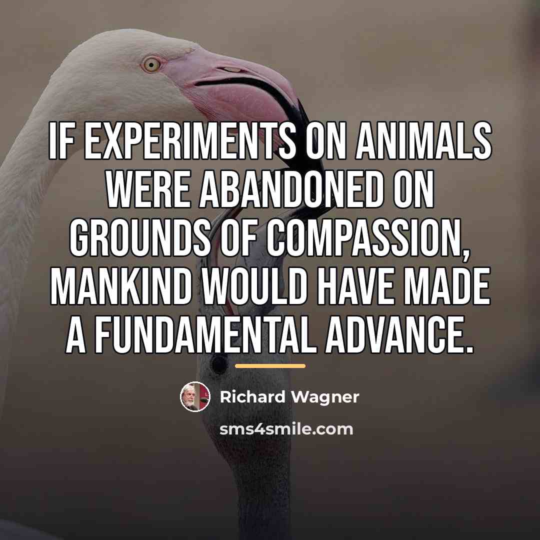 “If experiments on animals were abandoned on grounds of compassion,…” quote by Richard Wagner
