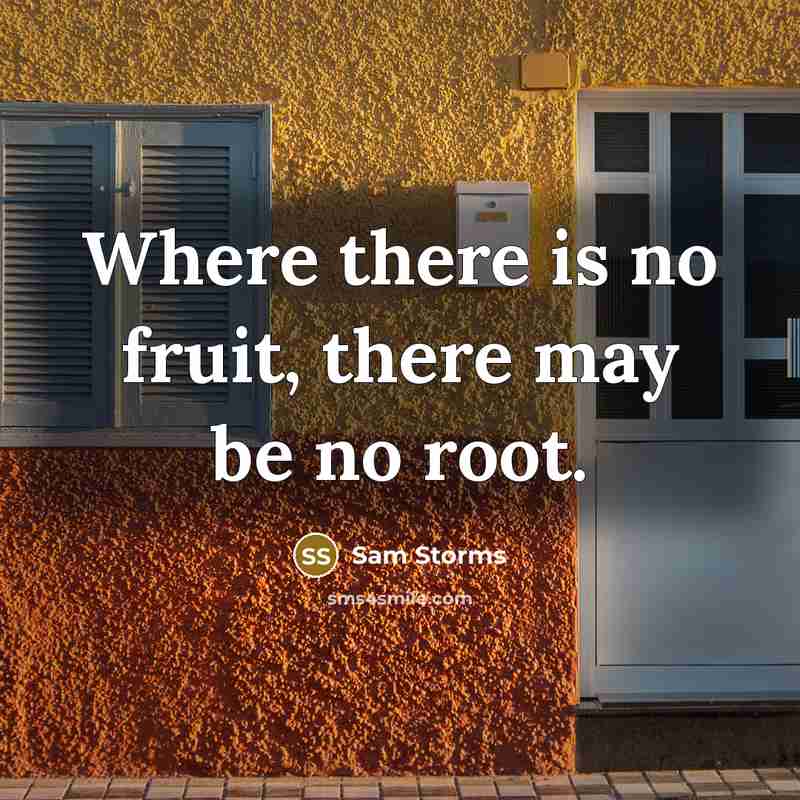 “Where there is no fruit, there may be no root.” quote by Sam Storms