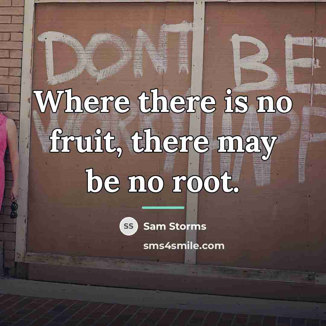 “Where there is no fruit, there may be no root.…” quote by Sam Storms