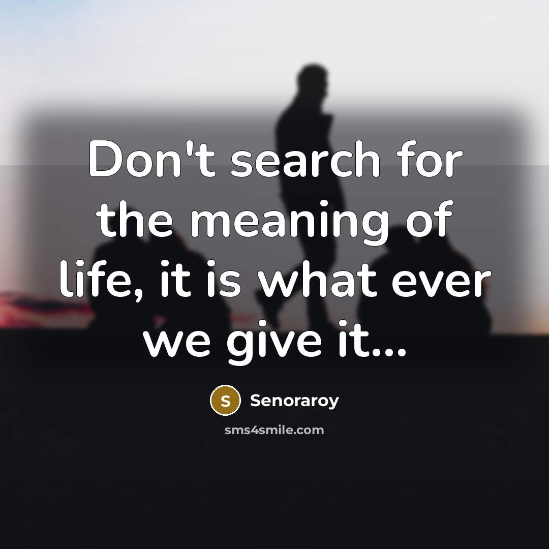 “Don't search for the meaning of life, it is what…” quote by Senoraroy