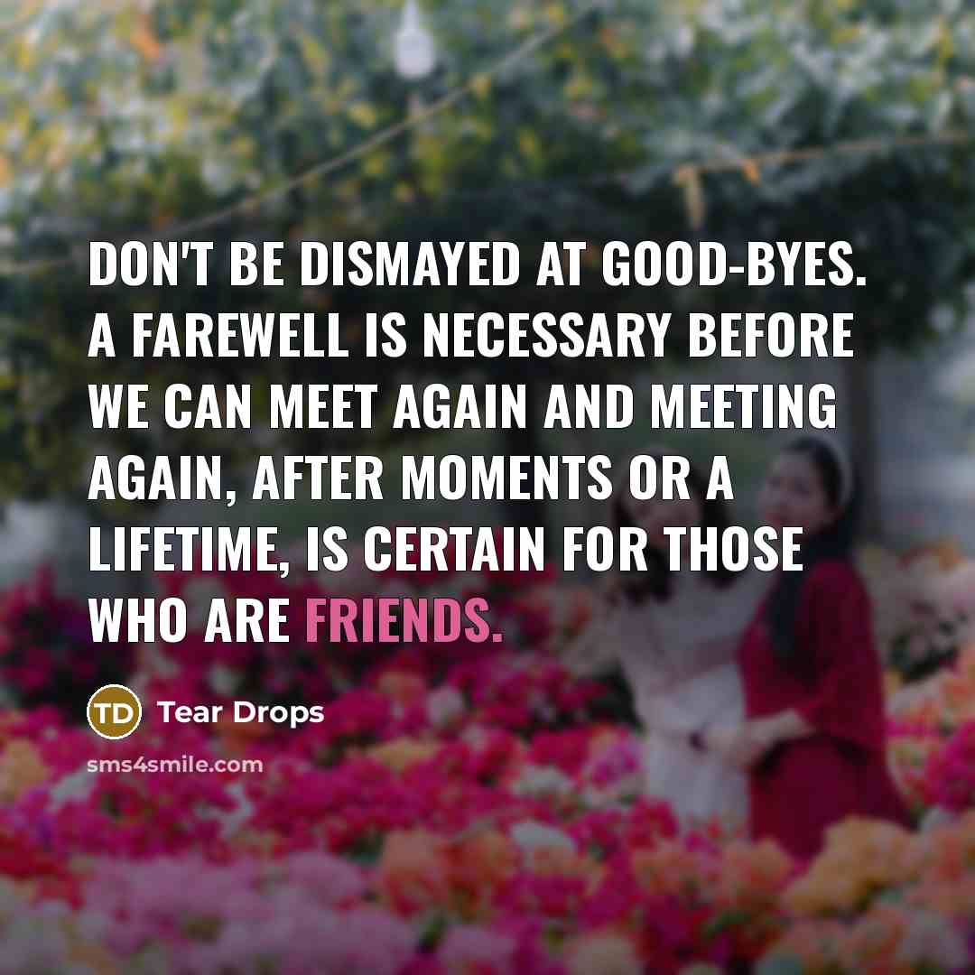 “Don't be dismayed at good-byes. A farewell is necessary before we can meet again and meeting again, after moments or a lifetime, is certain for those who are friends.” quote by Tear Drops