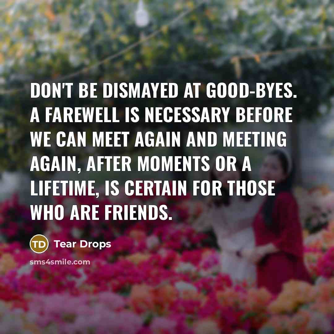 “Don't be dismayed at good-byes. A farewell is necessary before…” quote by Tear Drops