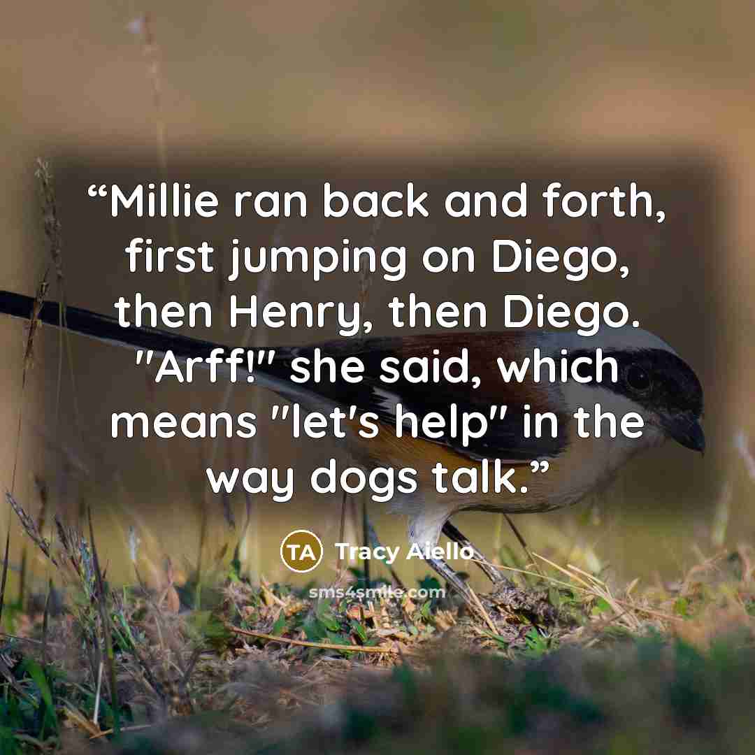 “Millie ran back and forth, first jumping on Diego, then Henry, then Diego. "Arff!" she said, which means "let's help" in the way dogs talk.” quote by Tracy Aiello