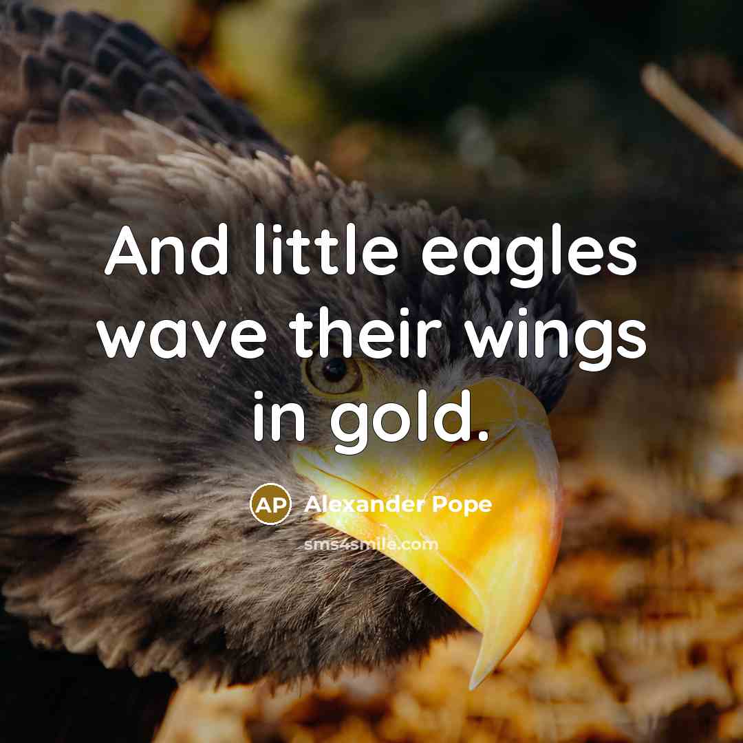 “And little eagles wave their wings in gold.…” quote by Alexander Pope