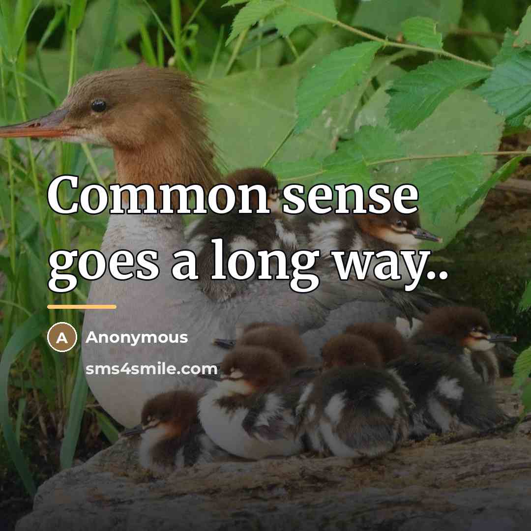 “Common sense goes a long way..…” quote by Anonymous