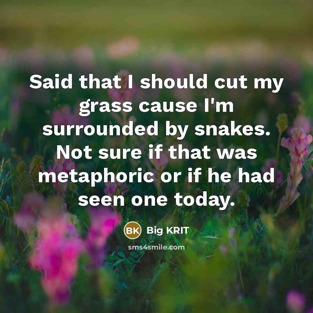 “Said that I should cut my grass cause I'm surrounded…” quote by Big Krit