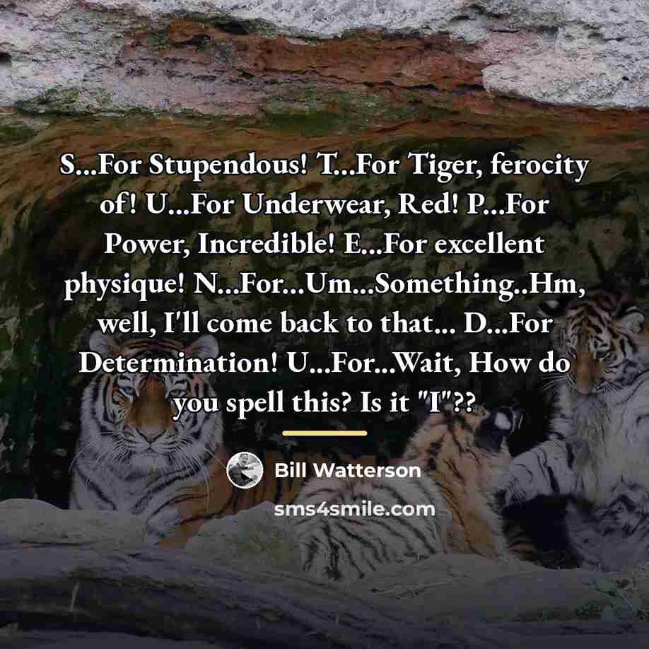 “S...For Stupendous! T...For Tiger, ferocity of! U...For Underwear, Red! P...For…” quote by Bill Watterson