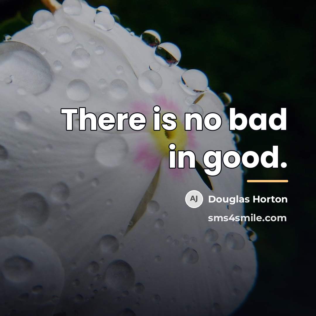 “There is no bad in good.…” quote by Douglas Horton