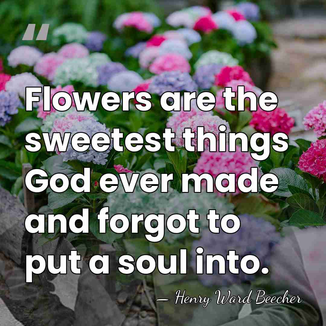 Flowers are the sweetest things God ever made and forgot to put&hellip; - Henry Ward Beecher