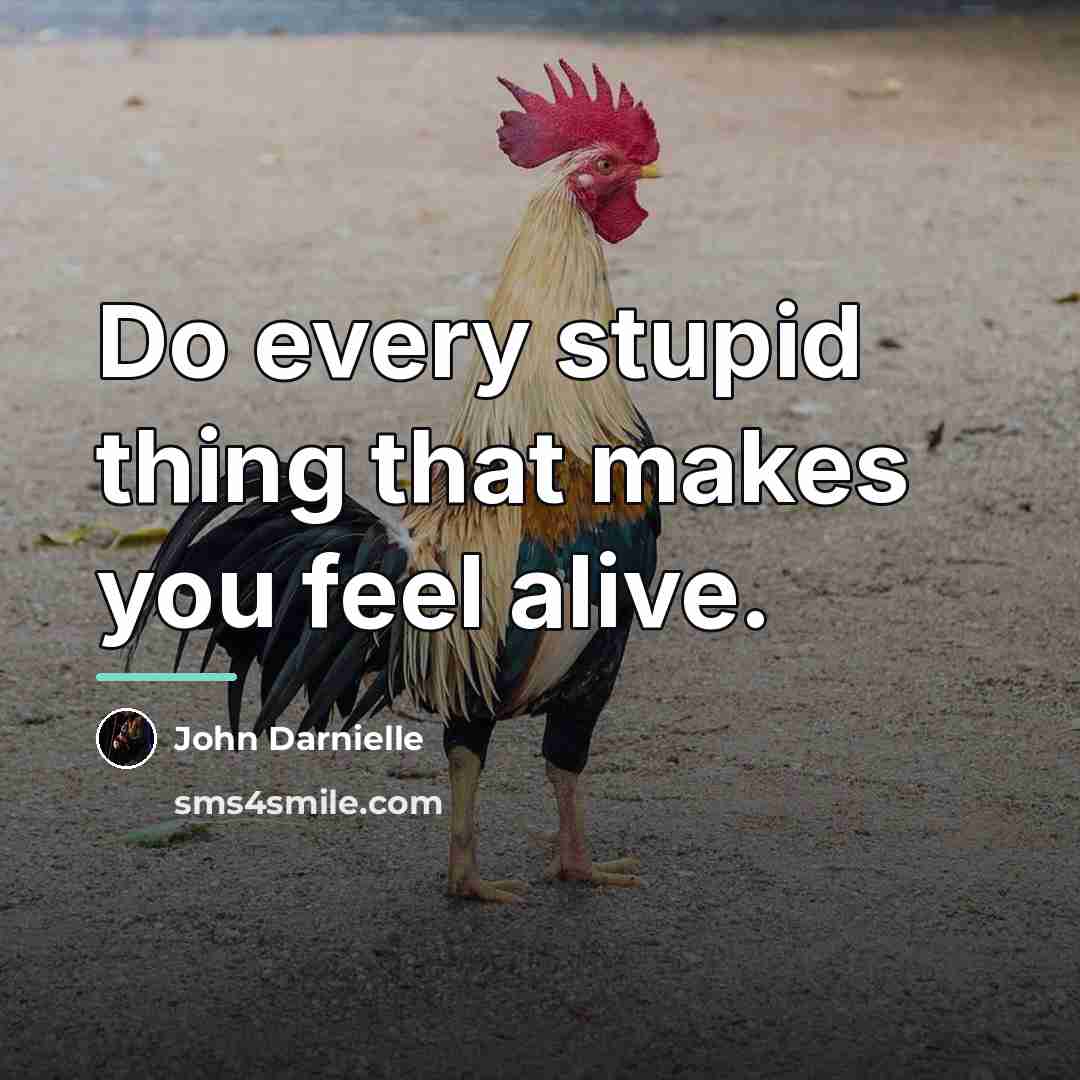 “Do every stupid thing that makes you feel alive.…” quote by John Darnielle