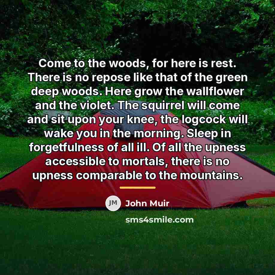 “Come to the woods, for here is rest. There is…” quote by John Muir