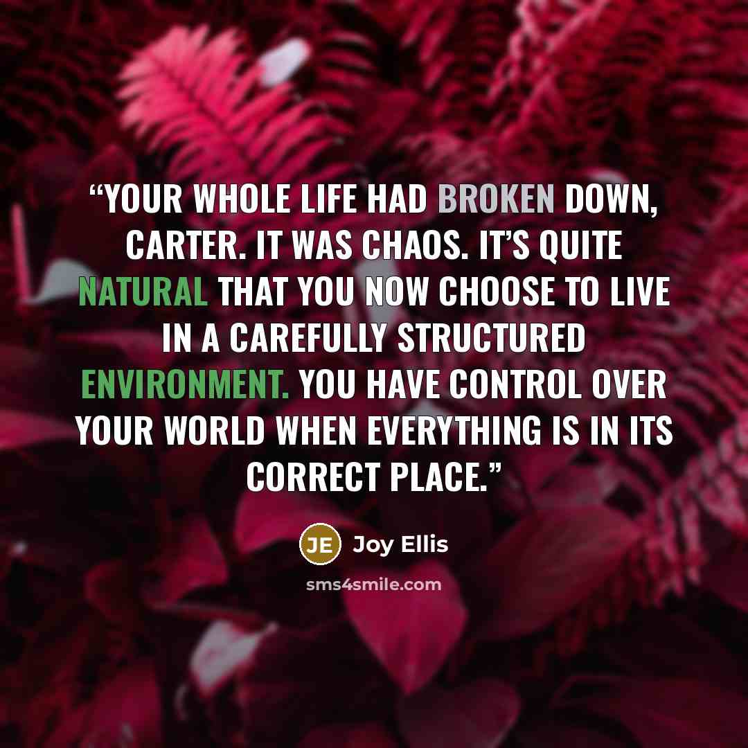 “Your whole life had broken down, Carter. It was chaos. It’s quite natural that you now choose to live in a carefully structured environment. You have control over your world when everything is in its correct place.” quote by Joy Ellis