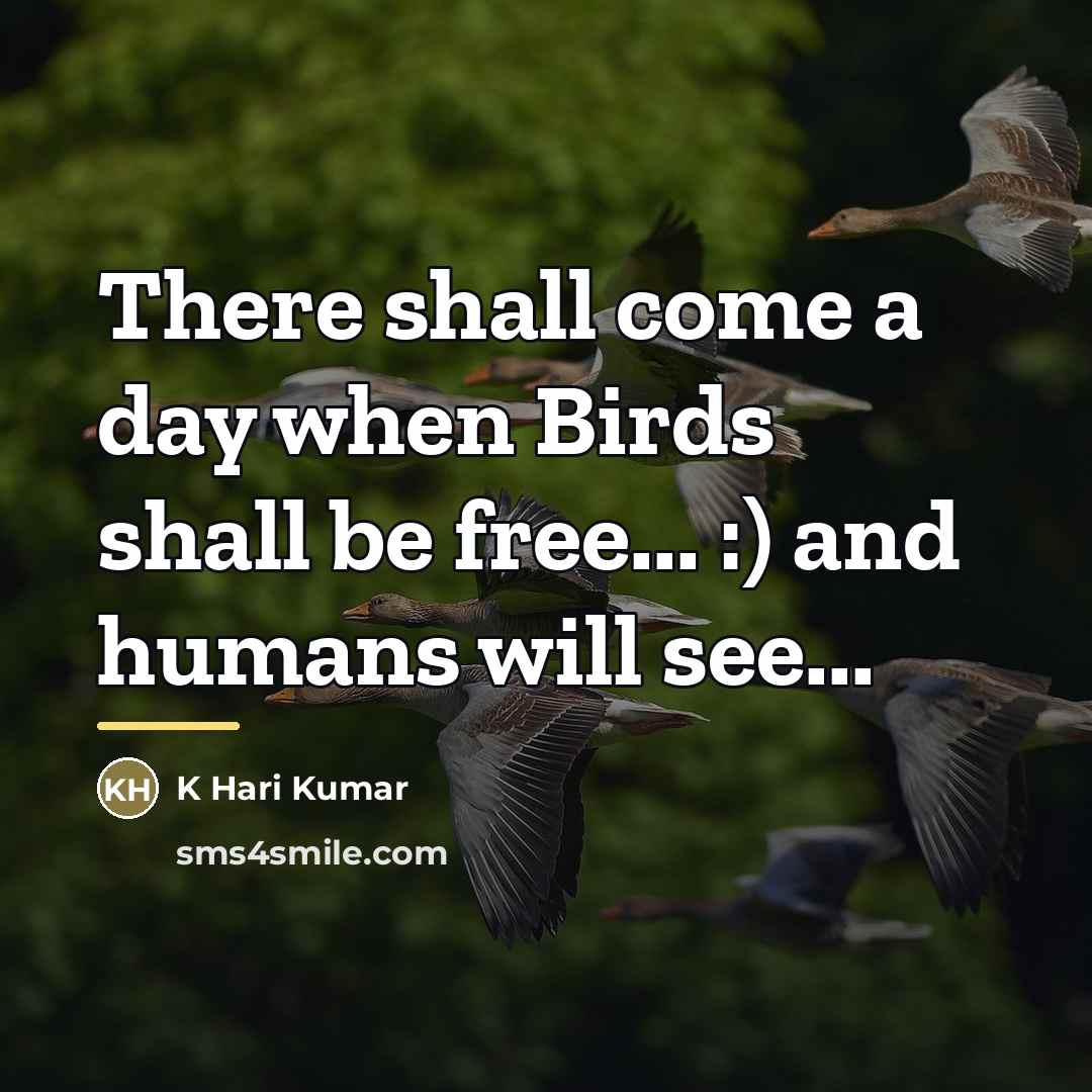 “There shall come a day when Birds shall be free...…” quote by K Hari Kumar