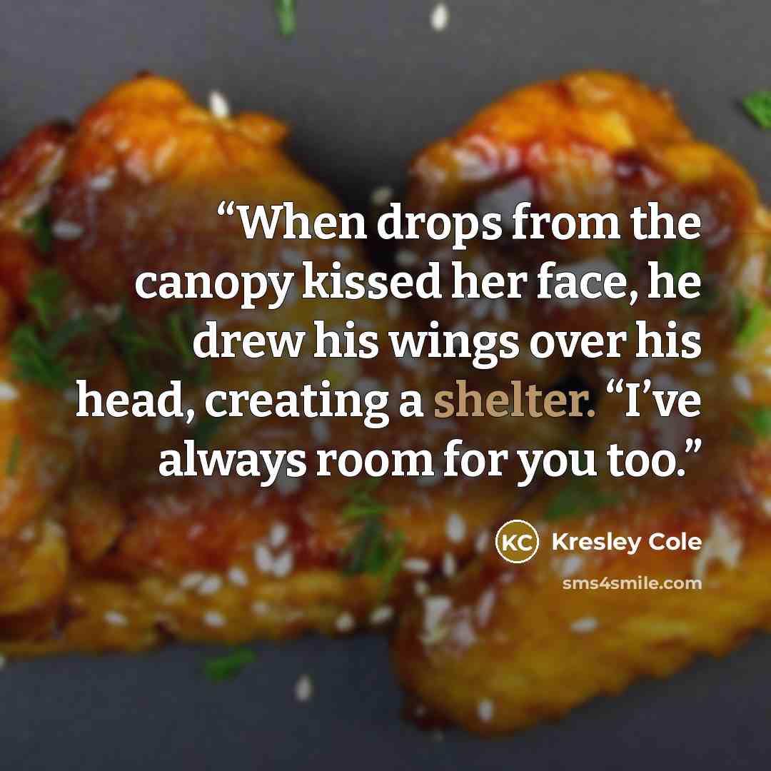 “When drops from the canopy kissed her face, he drew his wings over his head, creating a shelter. “I’ve always room for you too.” quote by Kresley Cole