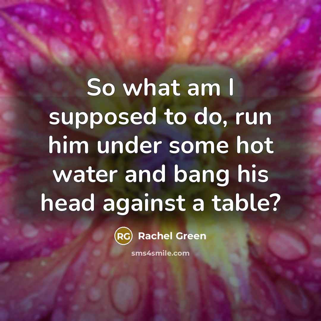 “So what am I supposed to do, run him under…” quote by Rachel Green