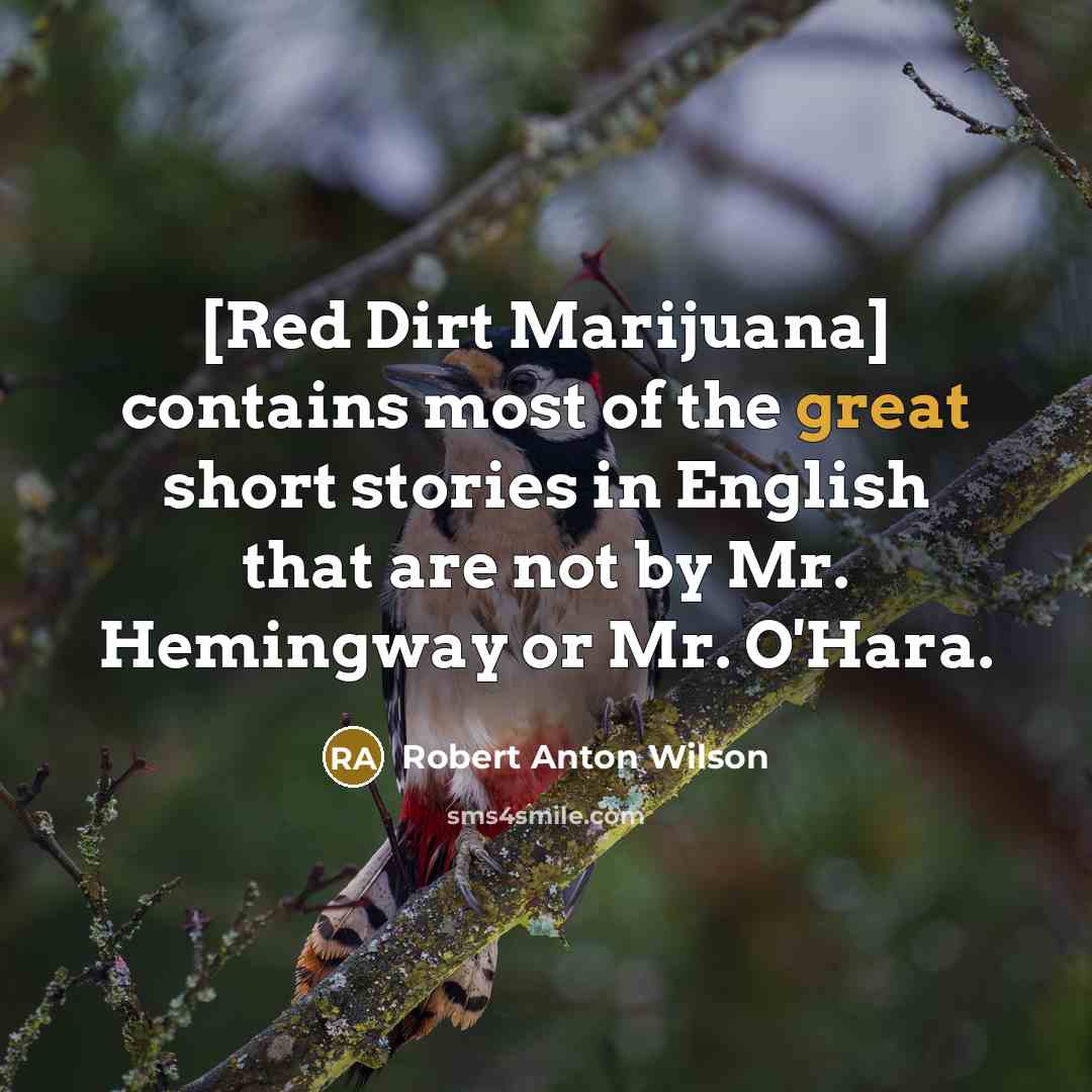 “[Red Dirt Marijuana] contains most of the great short stories…” quote by Robert Anton Wilson