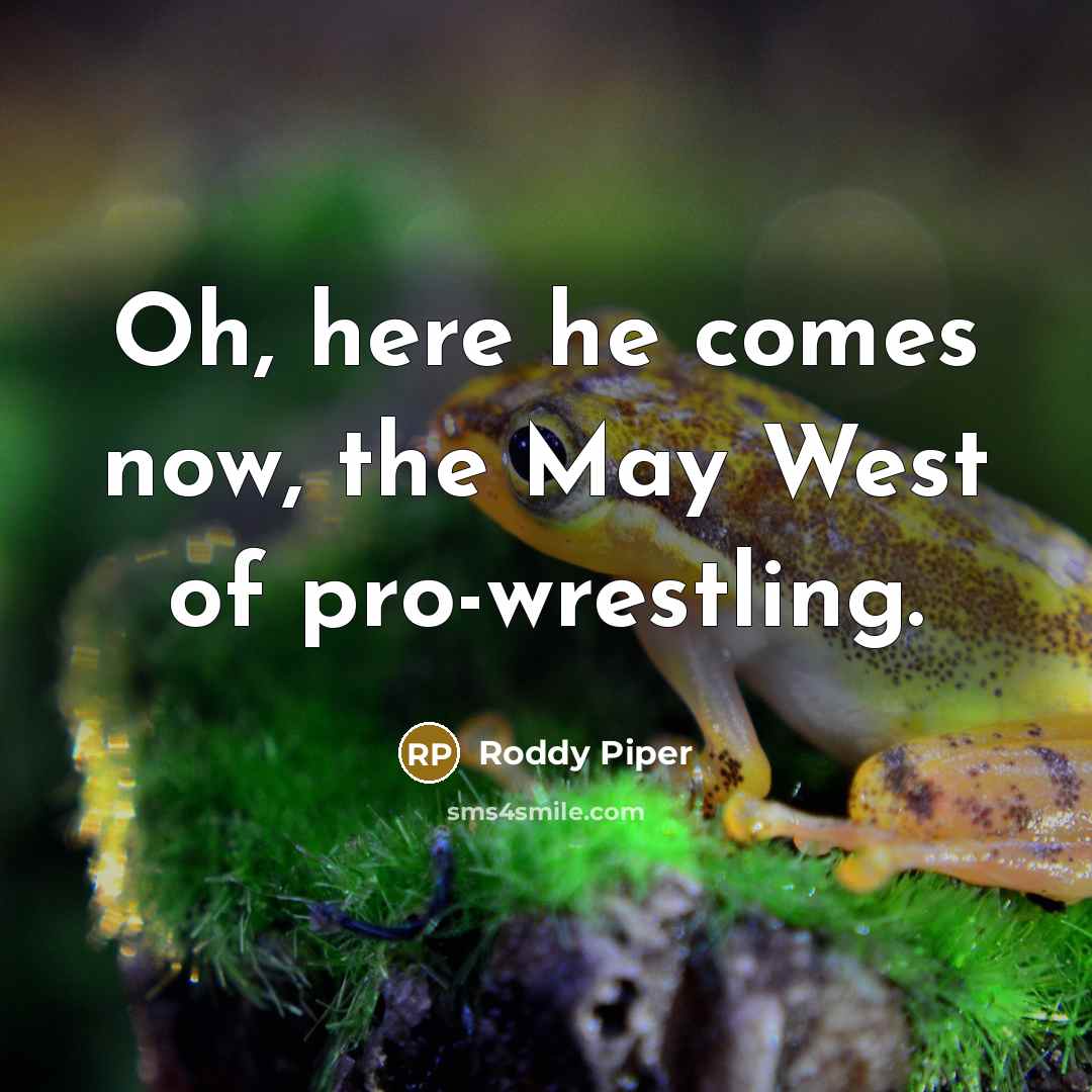 “Oh, here he comes now, the May West of pro-wrestling.…” quote by Roddy Piper