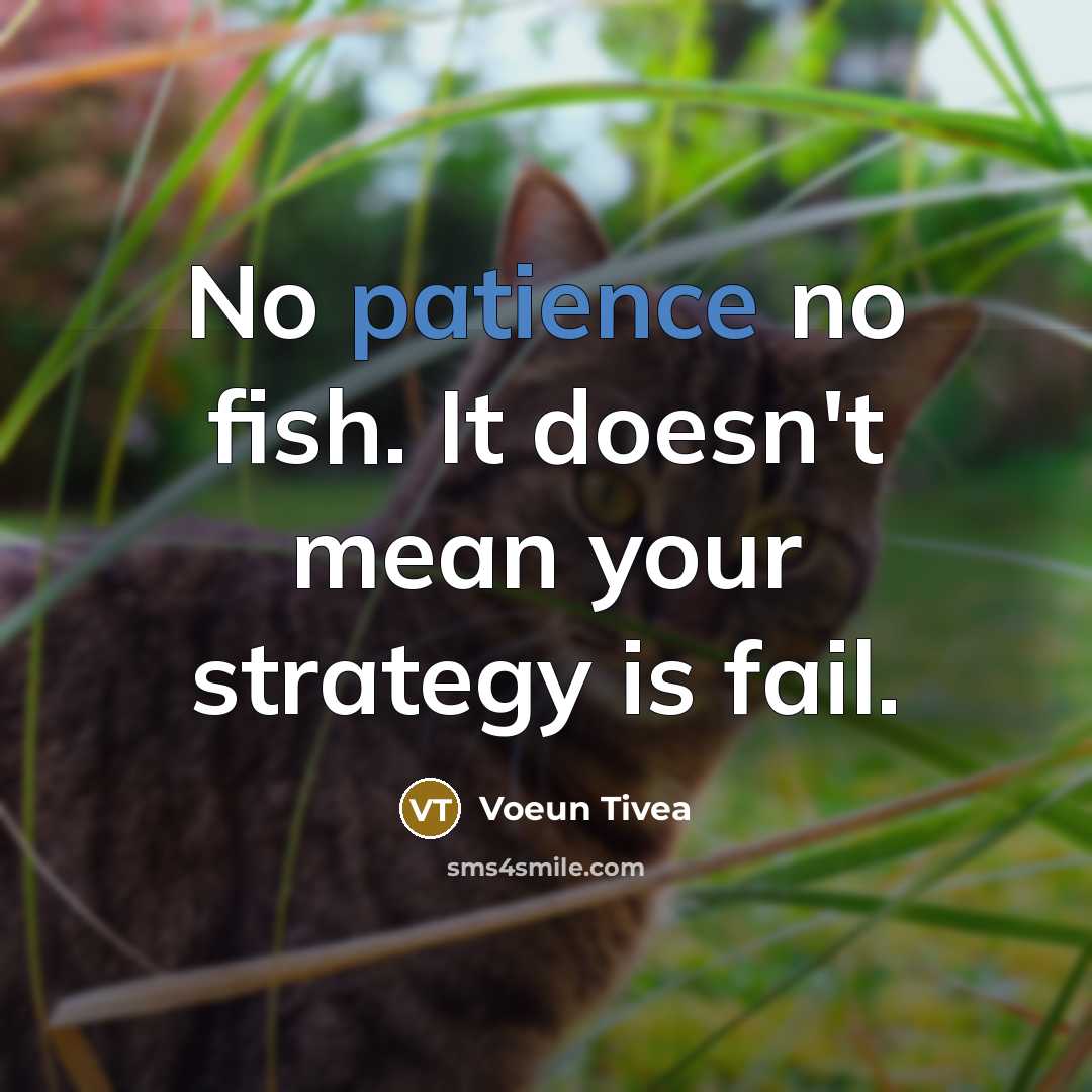 “No patience no fish. It doesn't mean your strategy is…” quote by Voeun Tivea