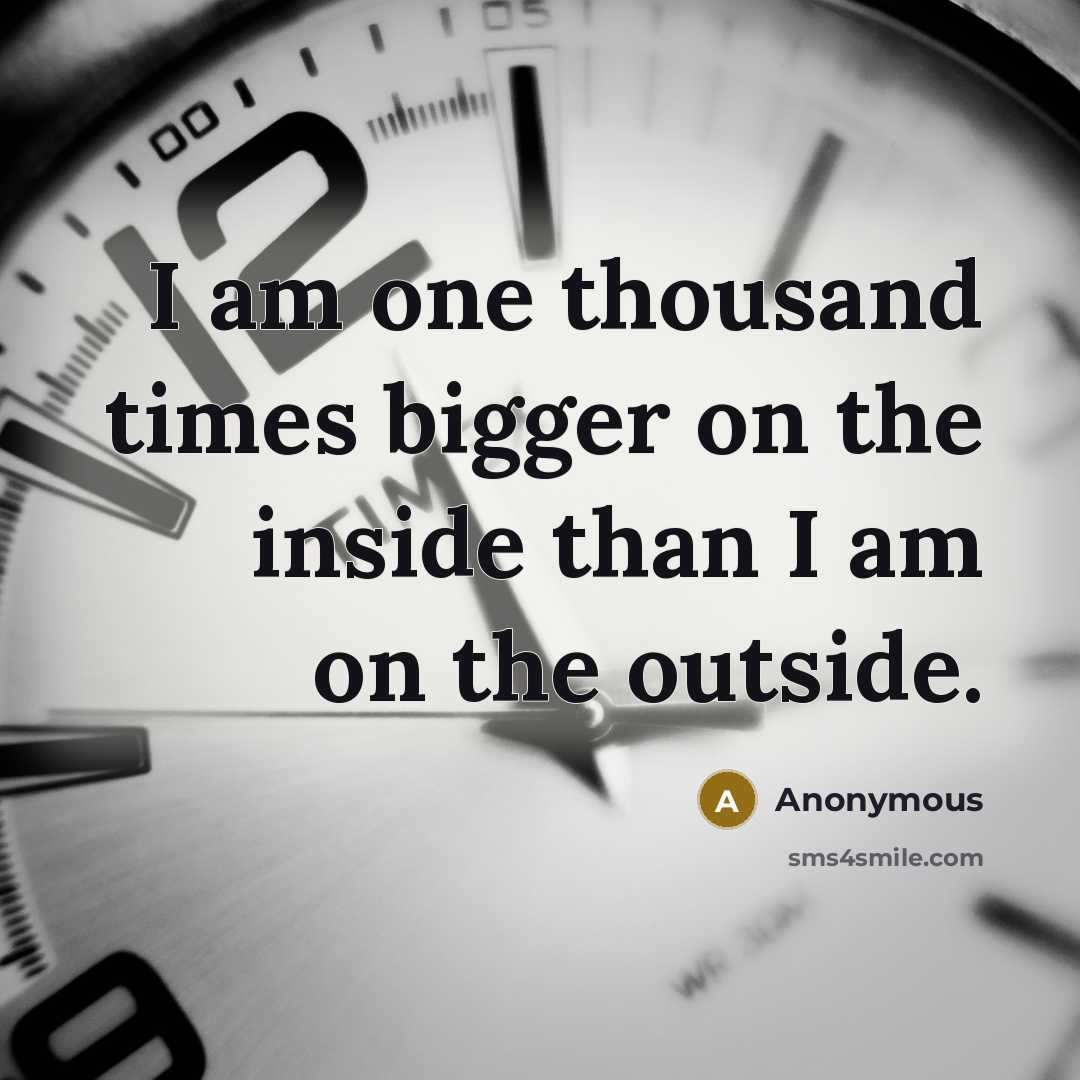 “I am one thousand times bigger on the inside than…” quote by Anonymous