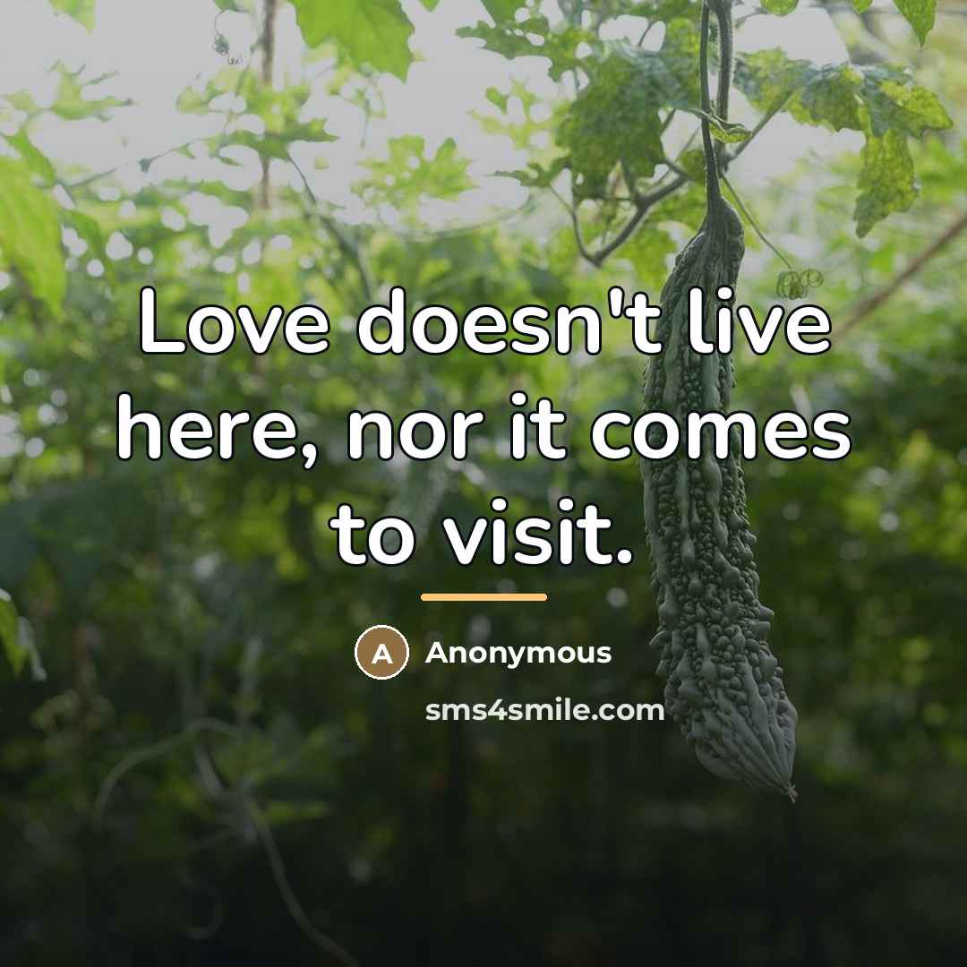 “Love doesn't live here, nor it comes to visit.…” quote by Anonymous