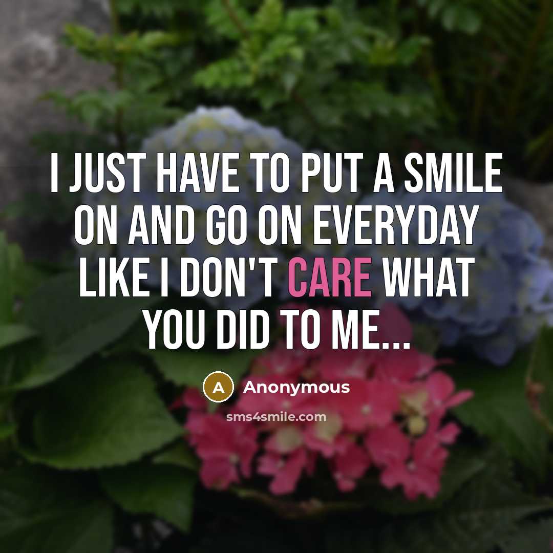 “I just have to put a smile on and go on everyday like I don't care what you did to me...” quote by Anonymous