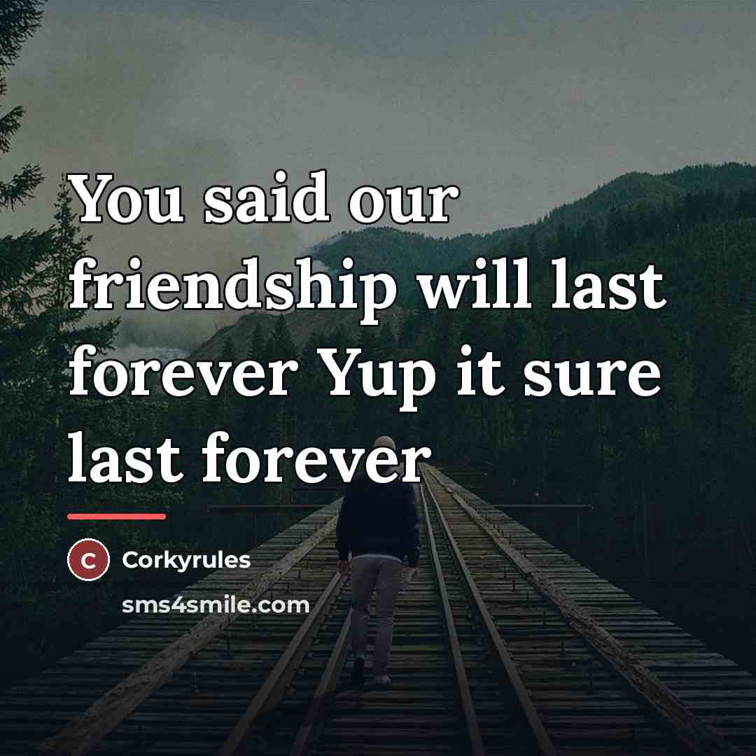 “You said our friendship will last forever Yup it sure…” quote by Corkyrules