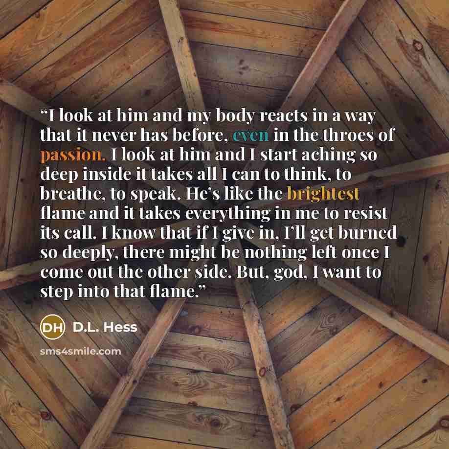 “I look at him and my body reacts in a way that it never has before, even in the throes of passion. I look at him and I start aching so deep inside it takes all I can to think, to breathe, to speak. He’s like the brightest flame and it takes everything in me to resist its call. I know that if I…” quote by D.L. Hess