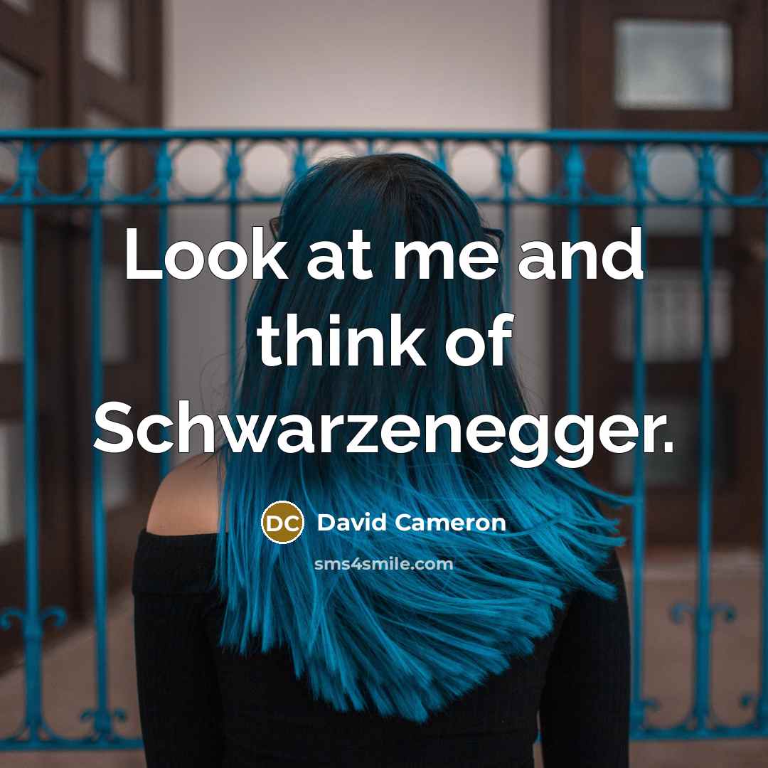 “Look at me and think of Schwarzenegger.” quote by David Cameron