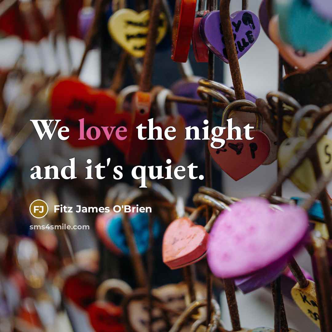 “We love the night and it's quiet.…” quote by Fitz James O'Brien