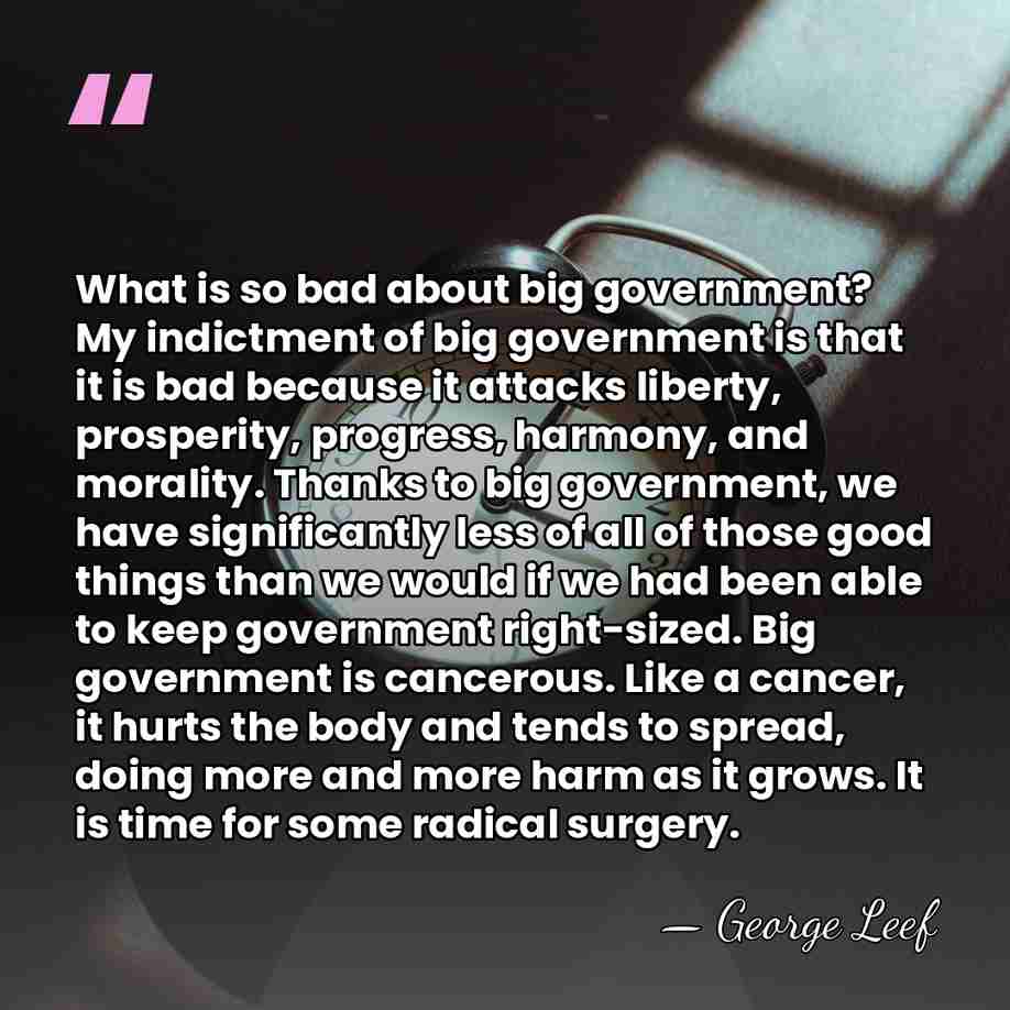 What is so bad about big government? My indictment of big government&hellip; - George Leef
