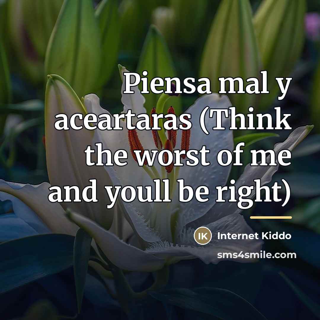 “Piensa mal y aceartaras (Think the worst of me and…” quote by Internet Kiddo