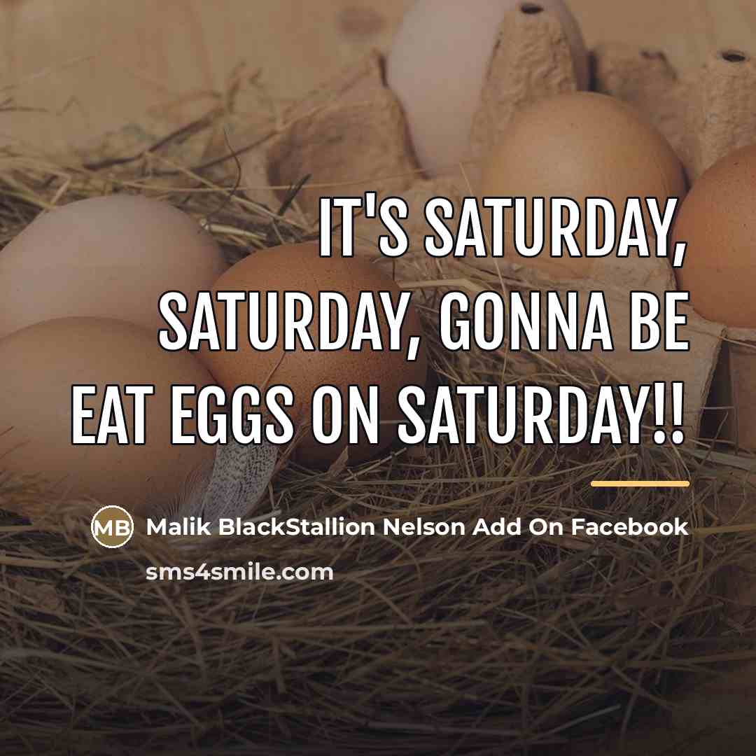 “It's Saturday, Saturday, gonna be eat eggs on Saturday!!…” quote by Malik BlackStallion Nelson Add On Facebook