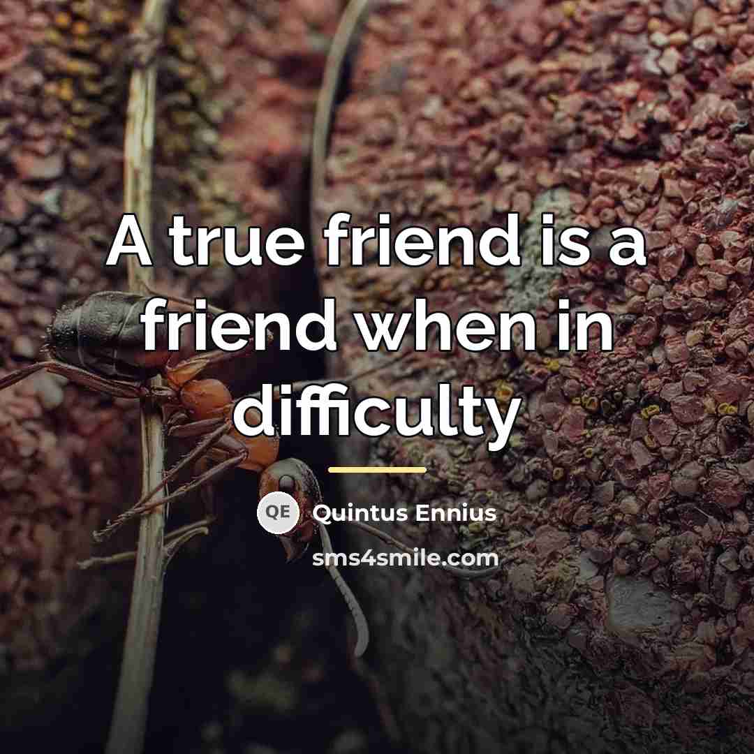 “A true friend is a friend when in difficulty…” quote by Quintus Ennius
