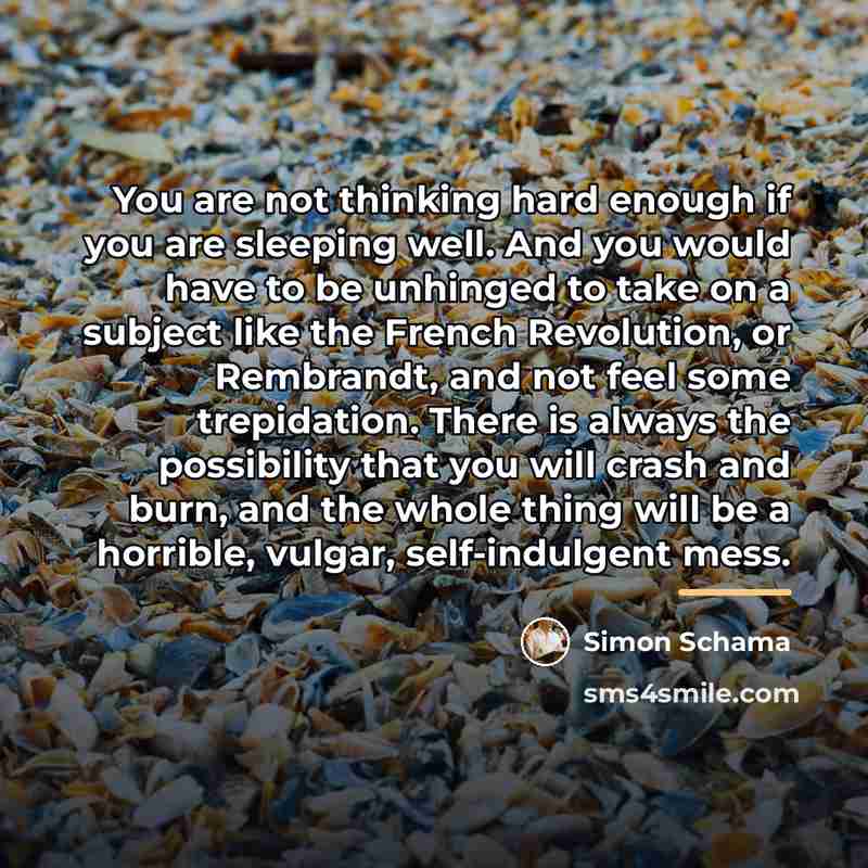 “You are not thinking hard enough if you are sleeping…” quote by Simon Schama
