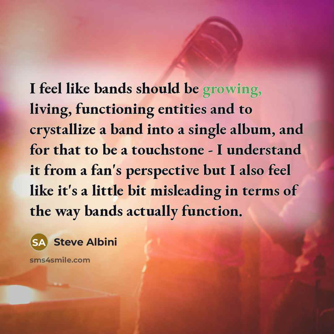 “I feel like bands should be growing, living, functioning entities…” quote by Steve Albini