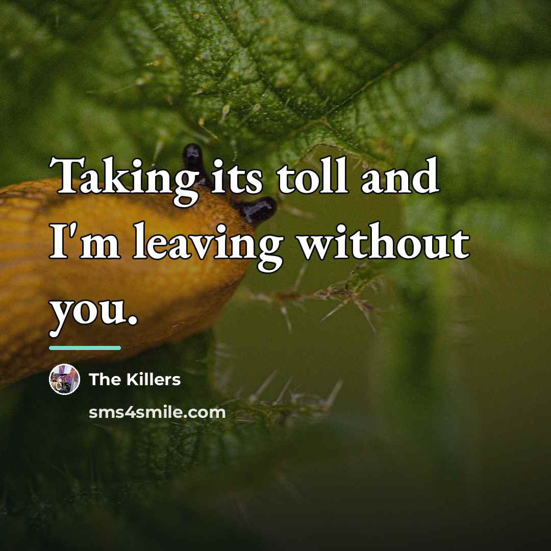 “Taking its toll and I'm leaving without you.…” quote by The Killers