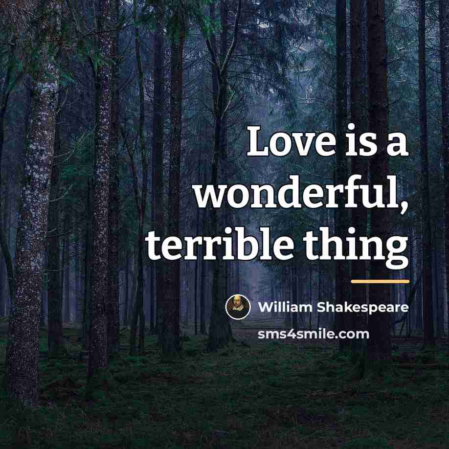 “Love is a wonderful, terrible thing…” quote by William Shakespeare