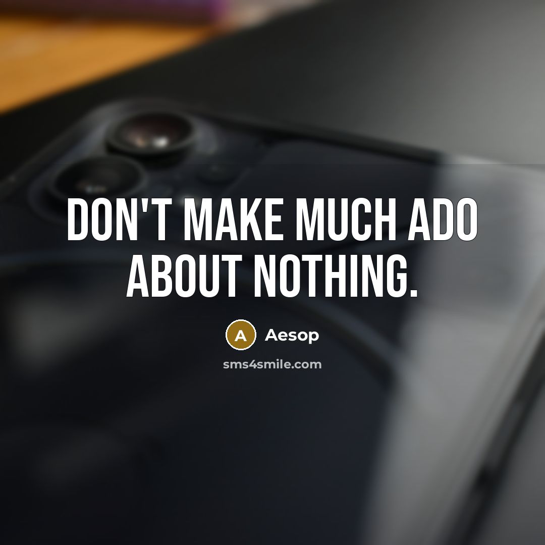 “Don't make much ado about nothing.” quote by Aesop